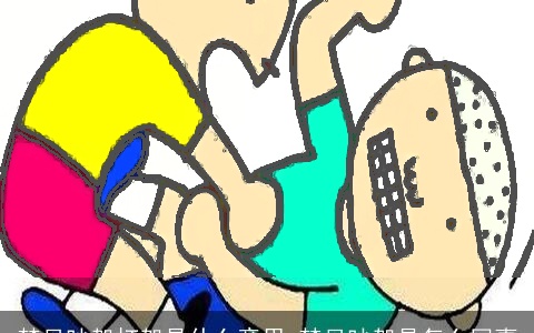 梦见吵架打架是什么意思 梦见吵架是怎么回事