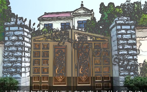 大门朝向与颜色(坐西北向东南大门什么颜色好)