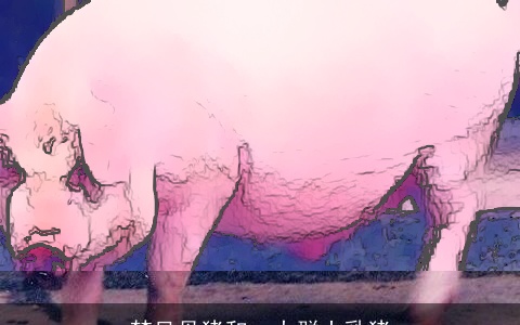 梦见母猪和一大群小乳猪