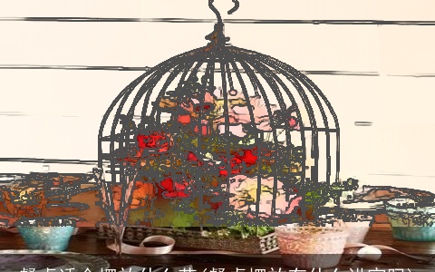 餐桌适合摆放什么花(餐桌摆放有什么讲究吗)