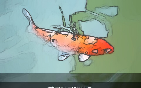 梦见吐了吃的鱼