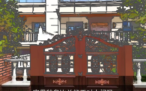 家里种皋比兰能正对大门吗