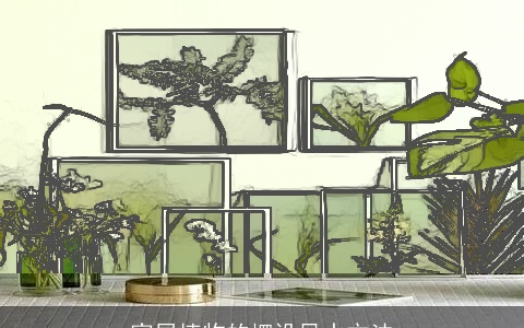 家居植物的摆设风水方法