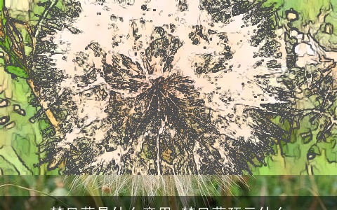 梦见藤是什么意思 梦见藤预示什么