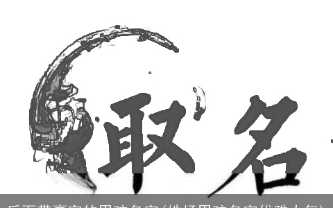 后面带豪字的男孩名字(姓杨男孩名字优雅大气)