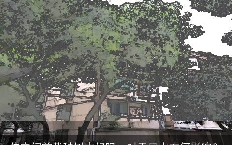 住宅门前栽种树木好吗，对于风水有何影响？