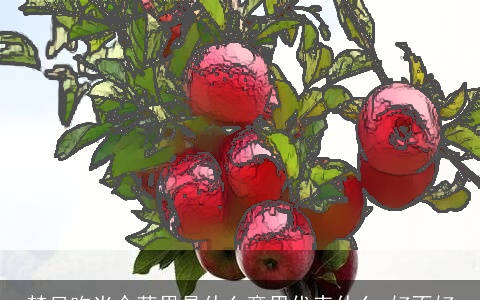 梦见吃半个苹果是什么意思代表什么 好不好