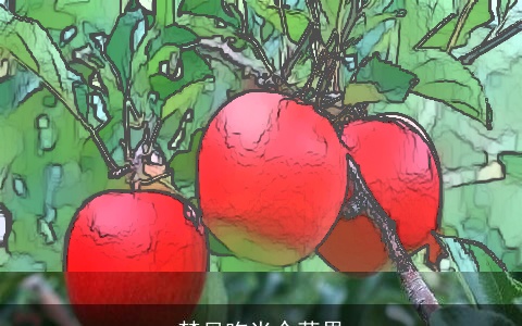 梦见吃半个苹果
