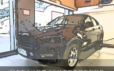 国内车企纷繁开端仿效宝马奔跑车型起名