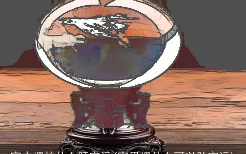 家中摆放什么旺官运(家里摆什么可以助官运)