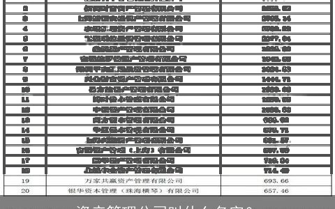 资产管理公司叫什么名字？