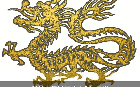 2009牛年属相龙的全体运程