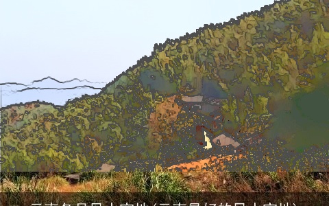 云南各县风水宝地(云南最好的风水宝地)