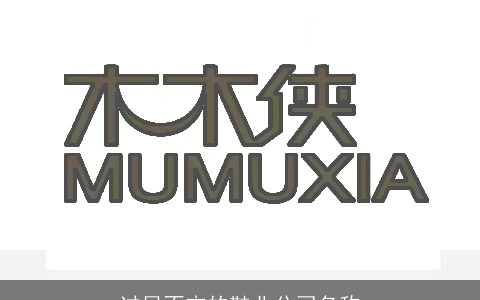 过目不忘的鞋业公司名称