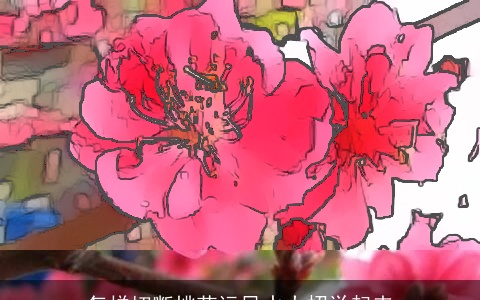 怎样切断桃花运风水大招学起来