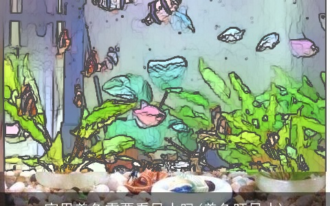 家里养鱼需要看风水吗(养鱼旺风水)