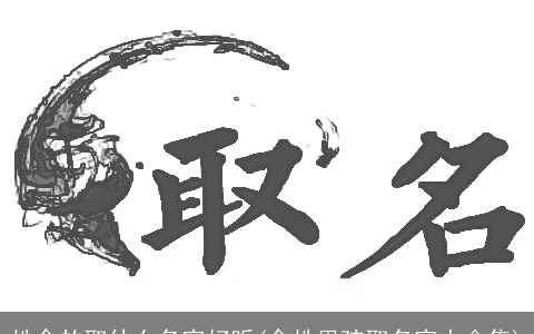 姓金的取什么名字好听(金姓男孩取名字大全集)