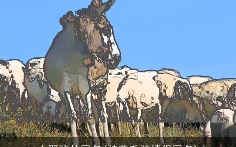 小野驴的网名(骑着毛驴情侣网名)