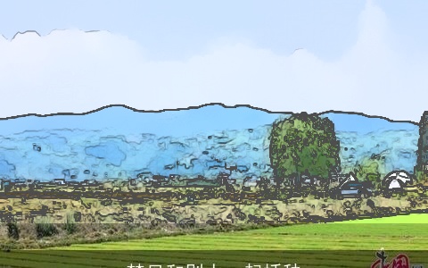 梦见和别人一起插秧