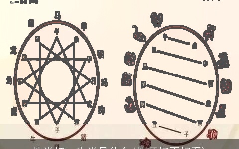 地肖打一生肖是什么(地师好不好看)