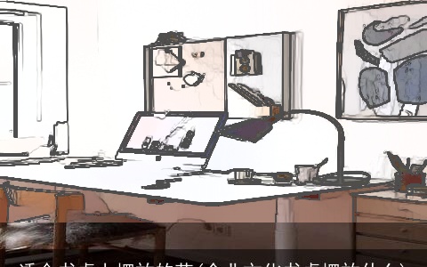 适合书桌上摆放的花(企业文化书桌摆放什么)