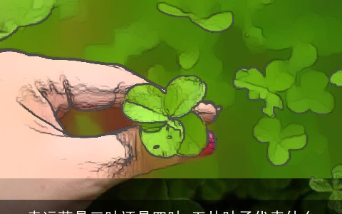 幸运草是三叶还是四叶 五片叶子代表什么