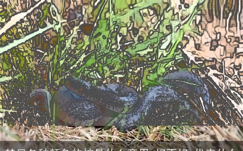 梦见各种颜色的蛇是什么意思,好不好,代表什么