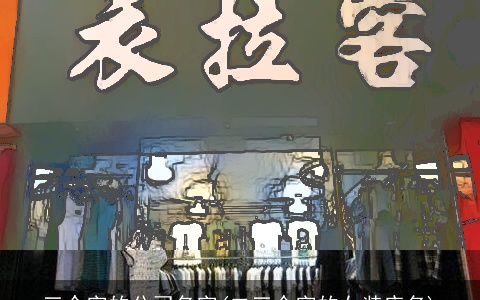 三个字的公司名字(二三个字的女装店名)