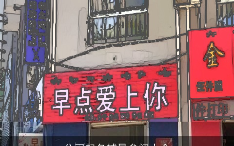 公司起名辅导参阅大全