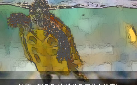 坟前出现乌龟(墓地放龟有什么讲究)