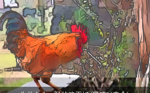 为什么十一月的鸡不好(属鸡96寿命)