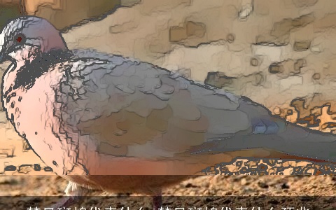 梦见斑鸠代表什么 梦见斑鸠代表什么预兆