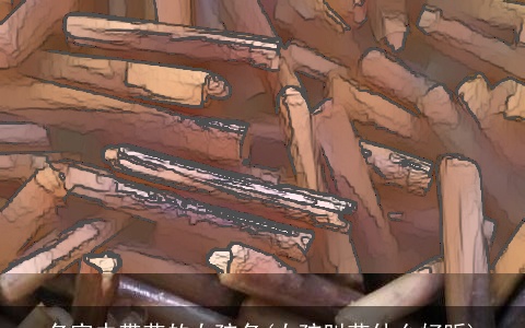 名字中带艺的女孩名(女孩叫艺什么好听)