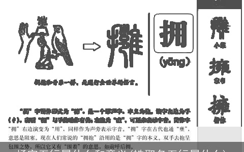 杨字五行属什么和意义(皓取名五行属什么)