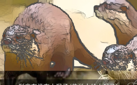 到底有没有水猴子(传说中的水猴子)