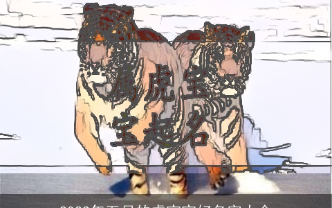 2022年五月的虎宝宝好名字大全