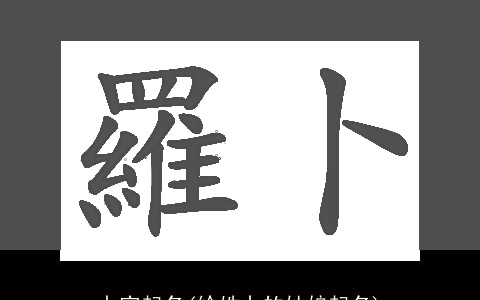 卜字起名(给姓卜的姑娘起名)