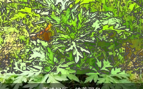 蒿姓好听，姓蒿取名