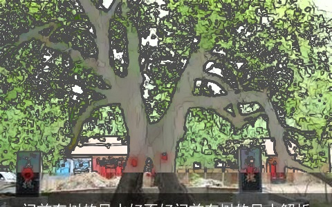 门前有树的风水好不好门前有树的风水解析