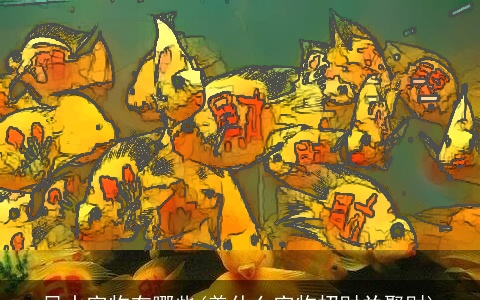 风水宠物有哪些(养什么宠物招财并聚财)