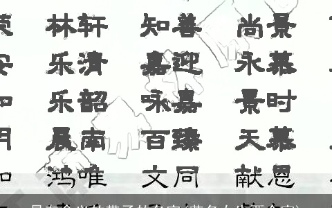 最有含义的带子的名字(艺名女生两个字)