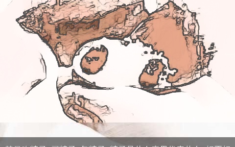 梦见吃粽子 买粽子 包粽子 粽子是什么意思代表什么 好不好