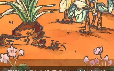 五行缺木怎么化解(五行缺木的人是什么命)