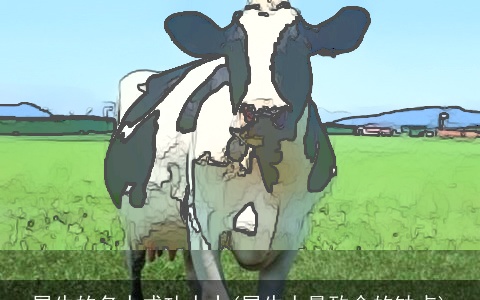 属牛的名人成功人士(属牛人最致命的缺点)