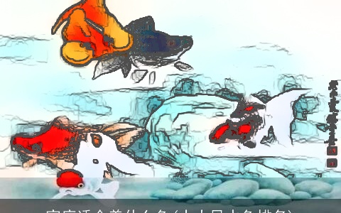 家庭适合养什么鱼(十大风水鱼排名)