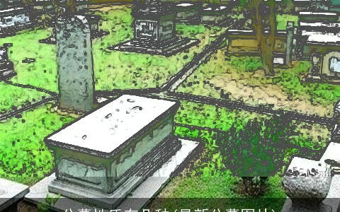 公墓性质有几种(最新公墓图片)