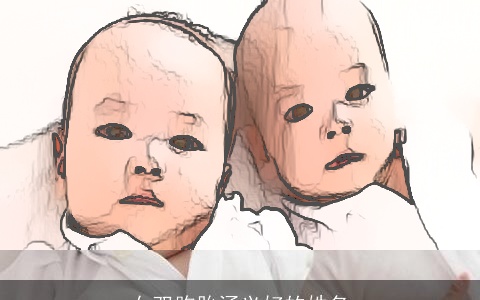 女双胞胎涵义好的姓名