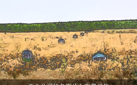 农业公司的名字什么容易记住