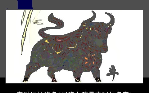 有财运的狗名(属猪女孩最吉利的名字)