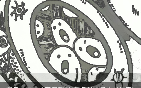 取名十二画的字有哪些(起名20画最吉祥的字)